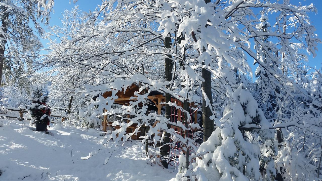 Willa Gusia, Apartamenty Zakopane Buitenkant foto