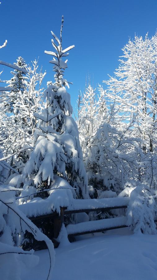 Willa Gusia, Apartamenty Zakopane Buitenkant foto