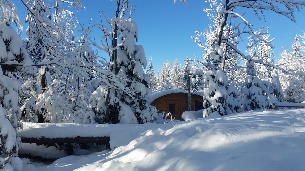 Willa Gusia, Apartamenty Zakopane Buitenkant foto
